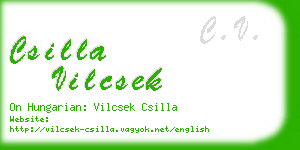 csilla vilcsek business card